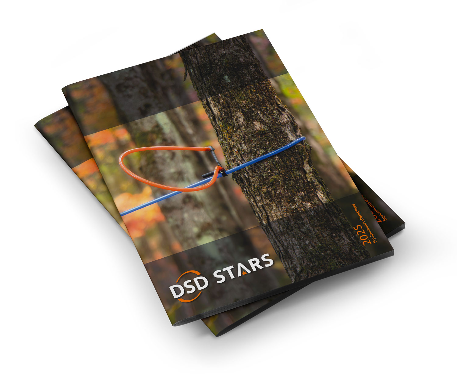 Catalogue DSD STARS 2025