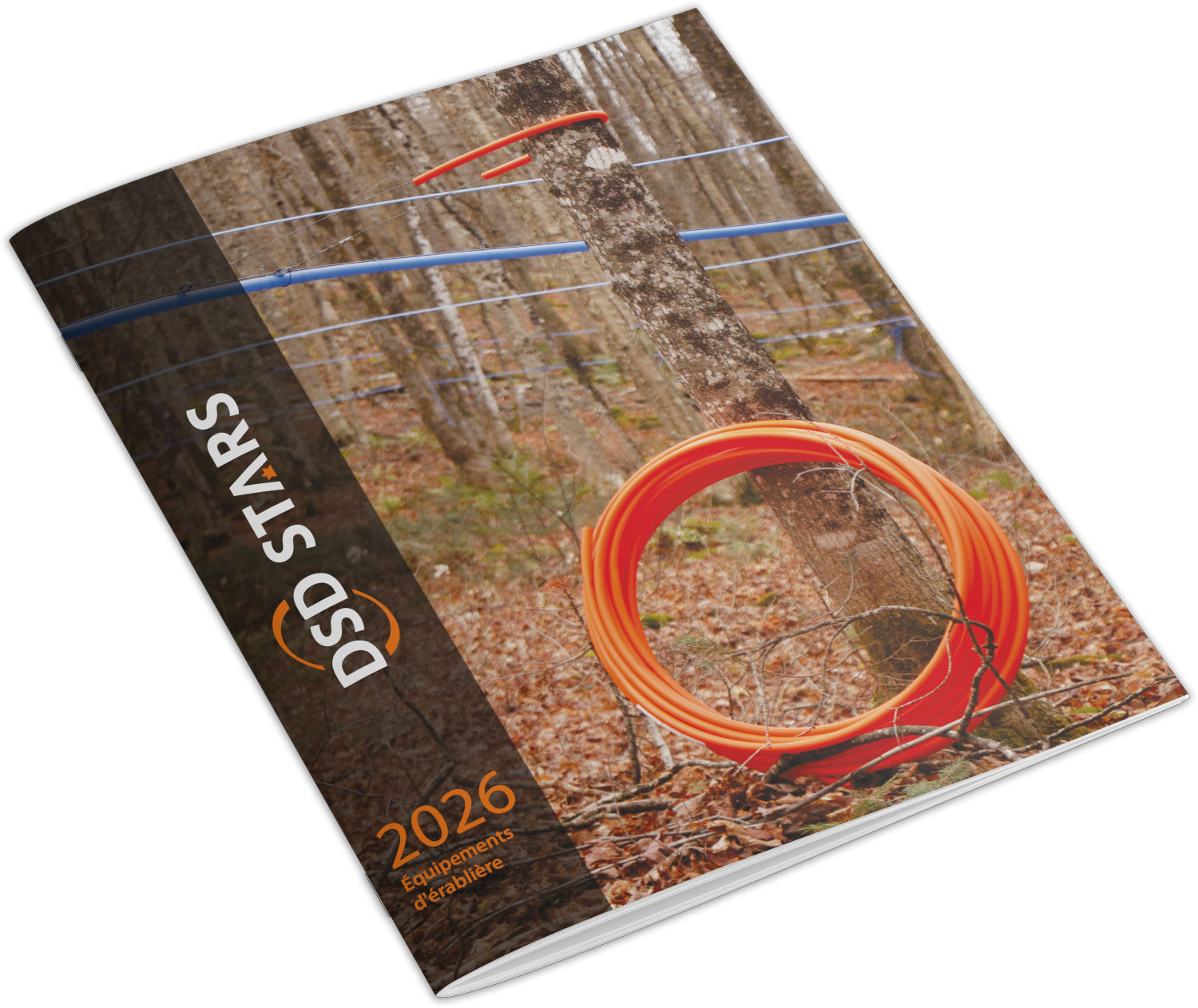 Catalogue DSD STARS 2026